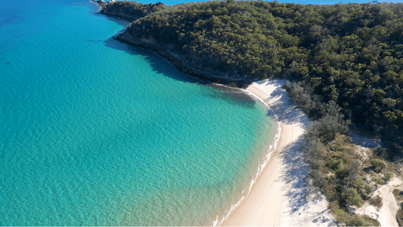 Yeppoon Tree Services tree services work in Zilzie