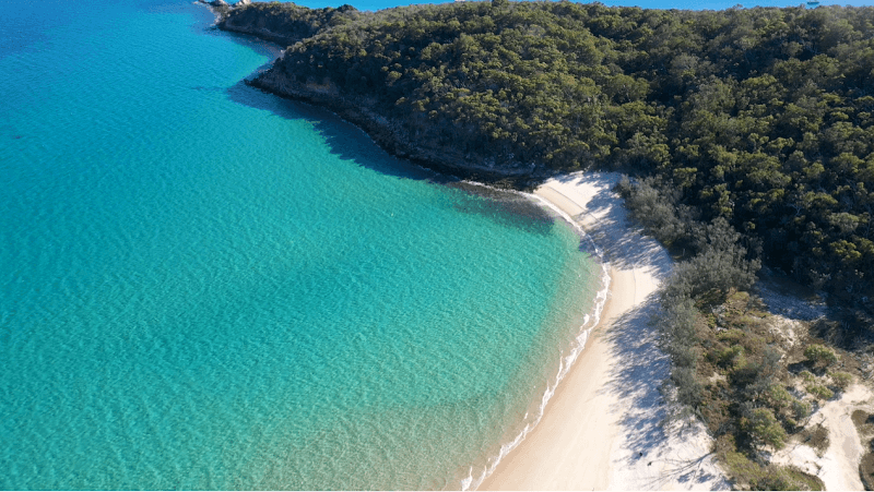 Yeppoon Tree Services tree services work in Zilzie