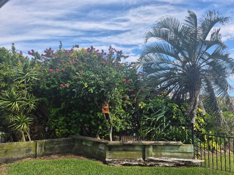 Yeppoon Tree Services tree services work in Zilzie