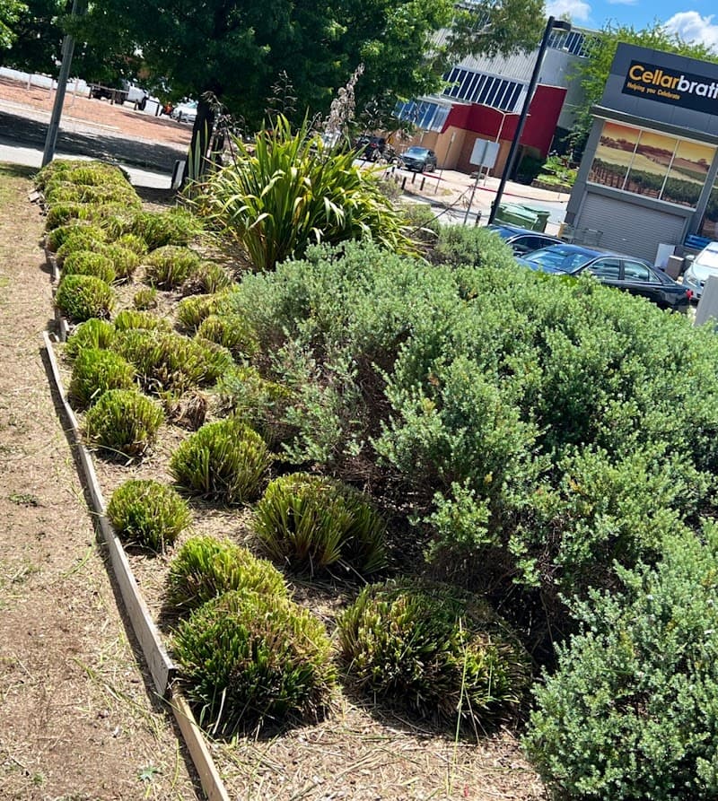 Yeti Gardening and Cleaning lawn care work in Farrer