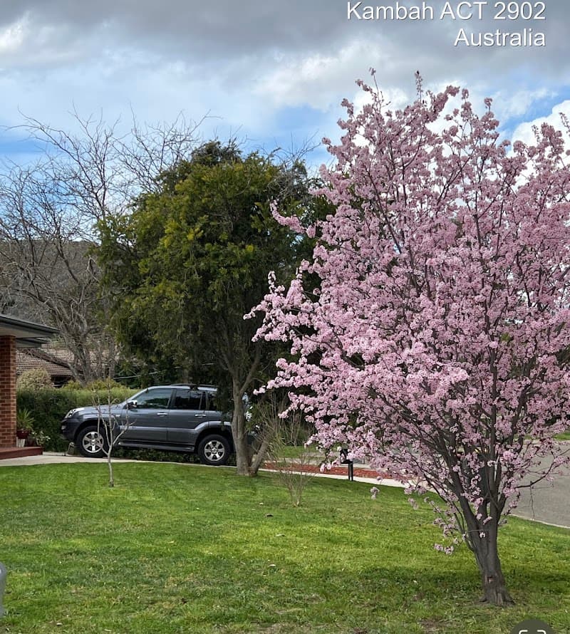 Yeti Gardening and Cleaning lawn care work in Farrer