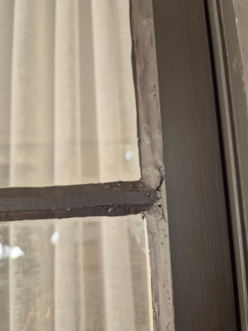 Your Local Glazier glass & glazier work in Ashford