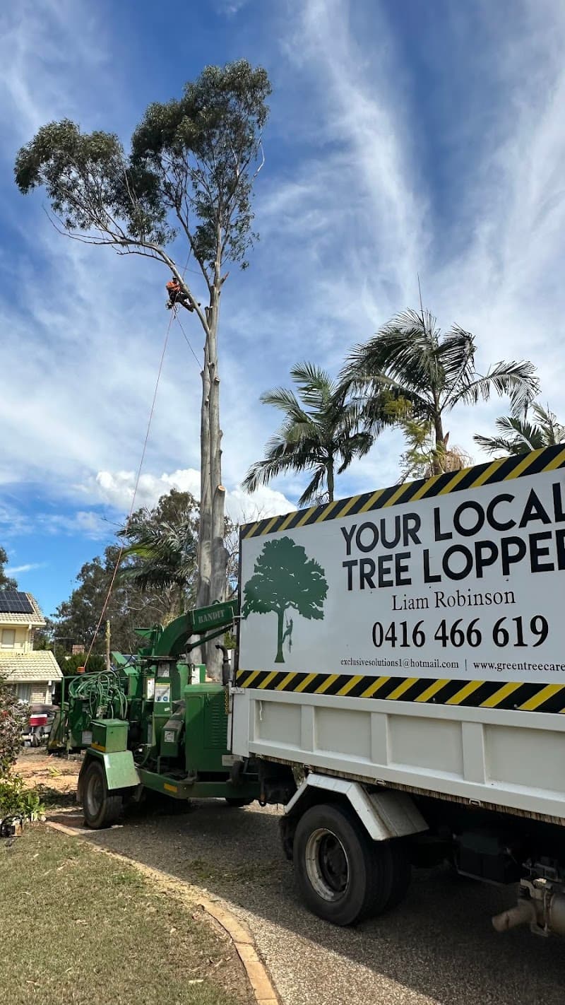 Your local tree lopper tree services work in Karana Downs