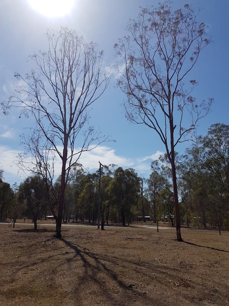 Your local tree lopper tree services work in Karana Downs
