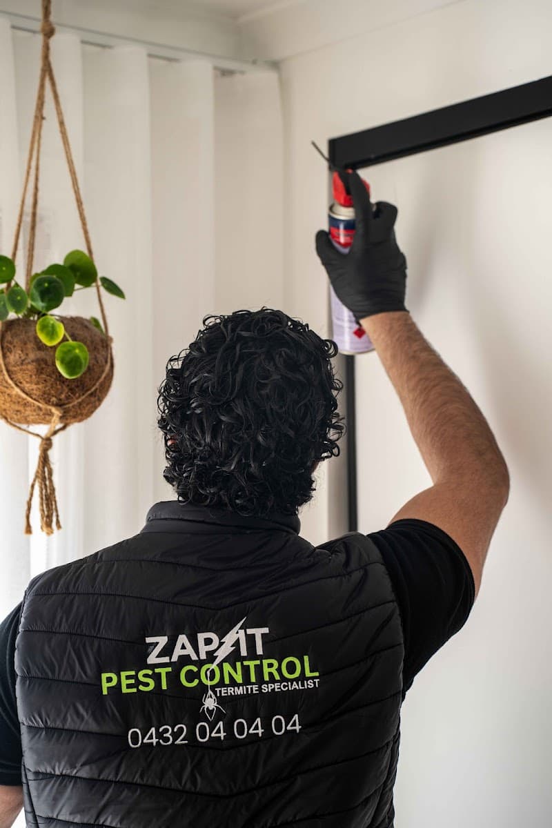 Zap It Pest & Termite Control Melbourne pest control work in Heidelberg Heights