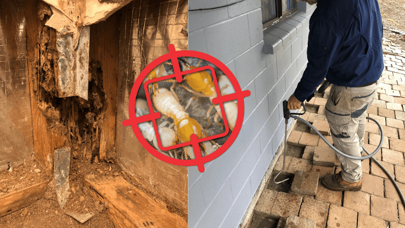 Zapem Pest Management Gold Coast pest control work in Robina