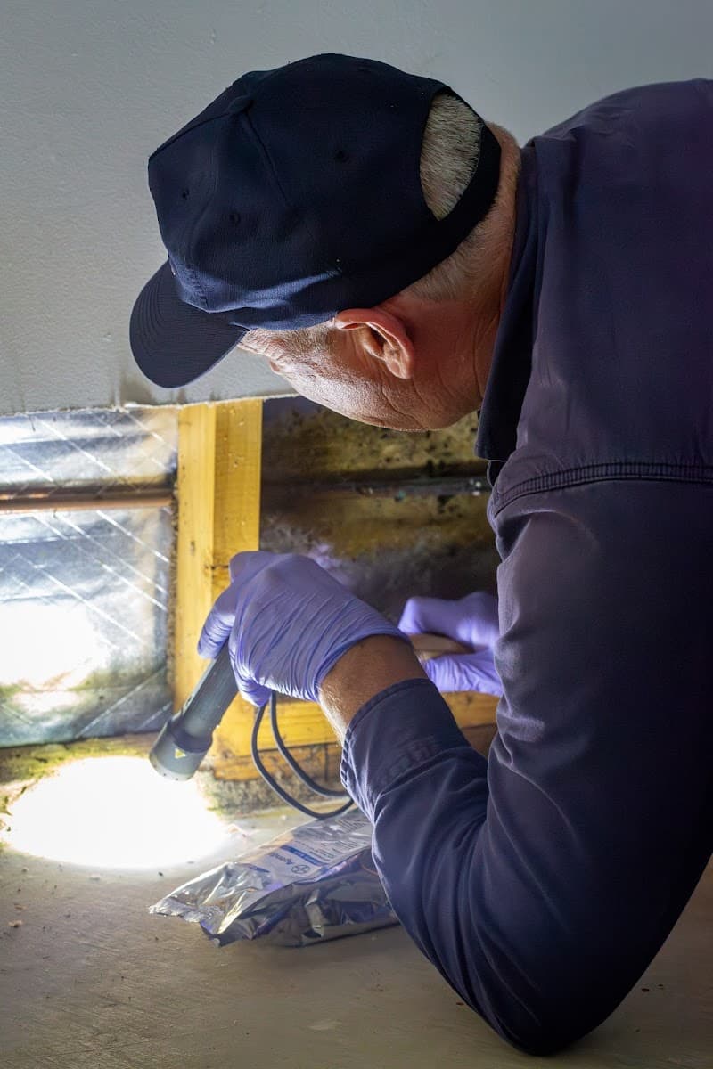 Zapem Pest Management Gold Coast pest control work in Robina