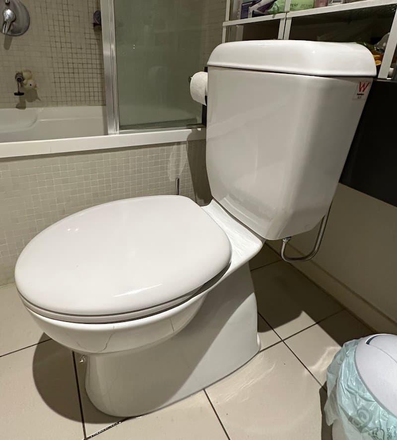 Zebra Plumbing plumber work in Richmond