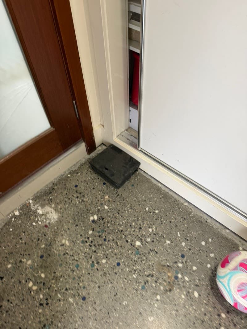 Zen pest control work in Glenroy