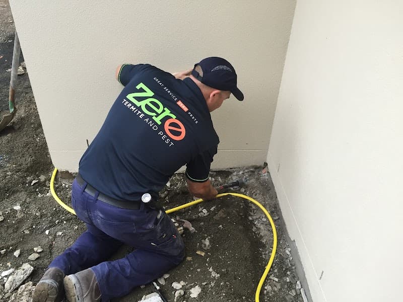 Zero Termite & Pest pest control work in Buderim