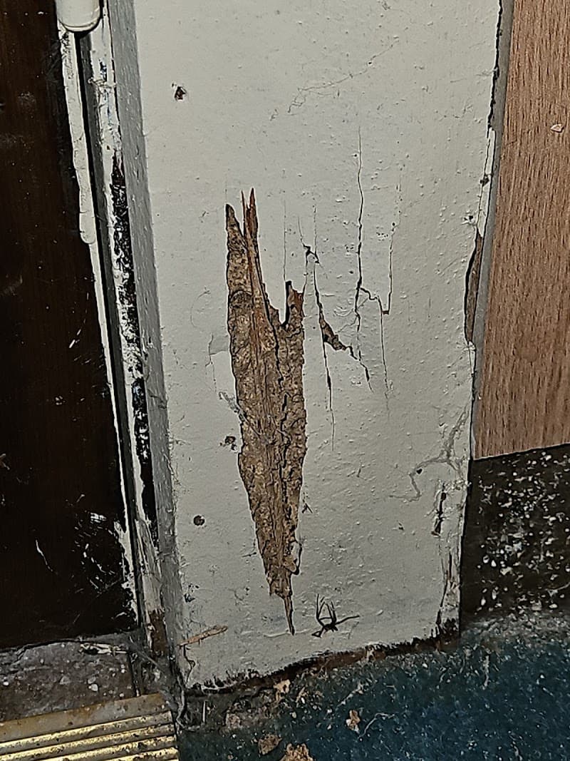 Zeropest Australia pest control work in Melbourne