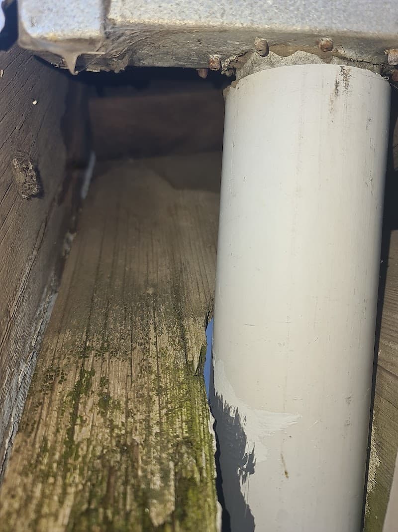 Zeropest Australia pest control work in Melbourne