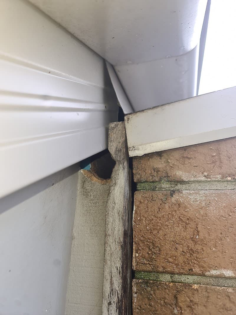 Zeropest Australia pest control work in Melbourne