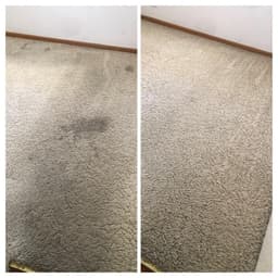 Zig Zag Carpet Cleaning Adelaide
