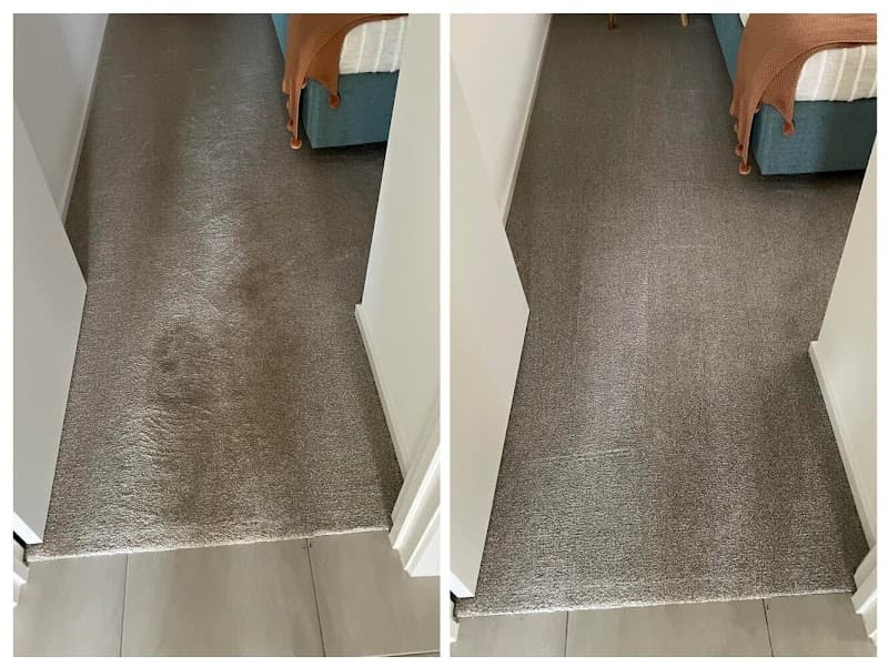 Zig Zag Carpet Cleaning Adelaide carpet cleaning work in Modbury North